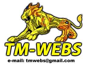 tm-webs.com, tmwebs.com.ar, tm-webs.net, desarrollo web, paginas web, websites, sitios web, buenos aires, argentina.